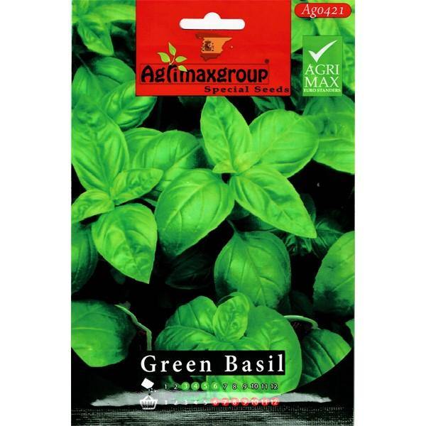 Green Basil Seeds Dubai UAE best online Plants