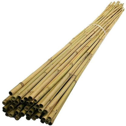 Bamboo Stick 15-30mm Dia