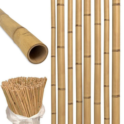 Bamboo Stick 15-30mm Dia