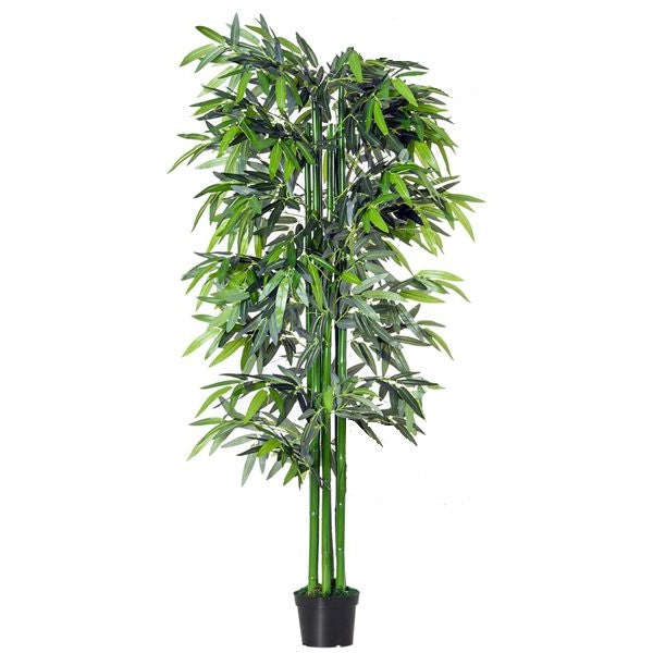 Bambus Green, Tropical Bamboo