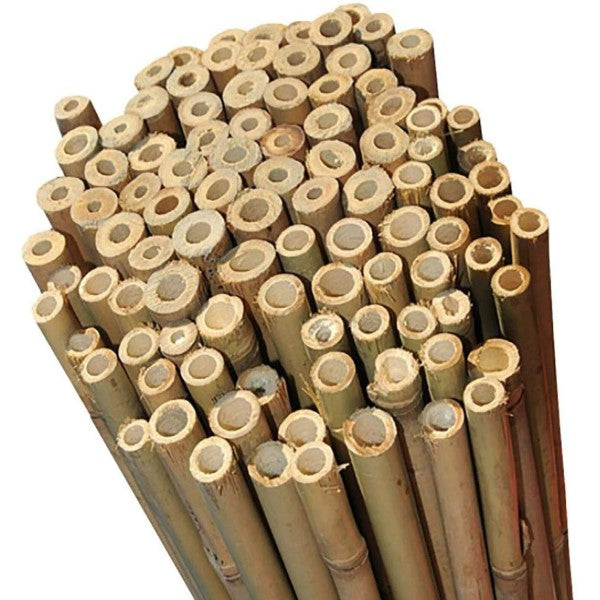 Bamboo Stick 15-30mm Dia