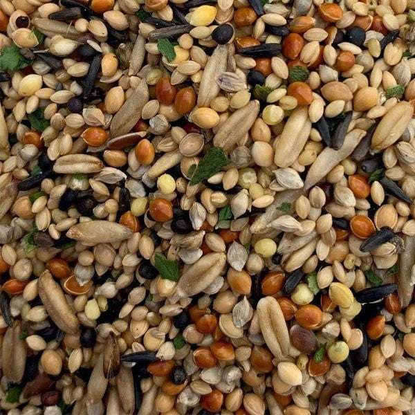 Bird Food (Mix Seed)