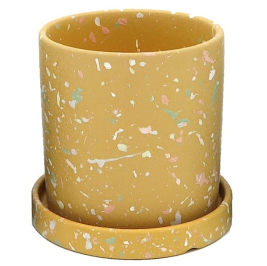 Ceramic Pot with Contrast Dots - www.Greenie.ae Buy online Best and Healthy Plants and quality products guarantee in Dubai Plants Shop in Dubai Abu Dhabi all over UAE Plants near me Fresh Plants in Dubai where to buy plants in UAE - Greenie.ae