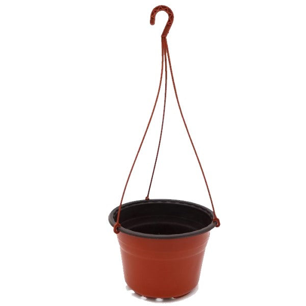 Hanging Plastic Plant Pot - www.Greenie.ae Buy online Best and Healthy Plants and quality products guarantee in Dubai Plants Shop in Dubai Abu Dhabi all over UAE Plants near me Fresh Plants in Dubai where to buy plants in UAE - Greenie.ae