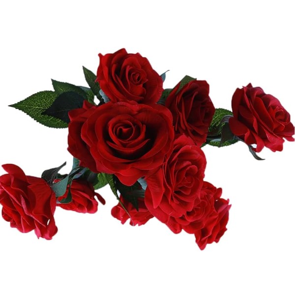 Fresh Red Roses and Bouquet