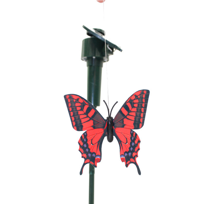 Solar Butterfly Stake - www.Greenie.ae Buy online Best and Healthy Plants and quality products guarantee in Dubai Plants Shop in Dubai Abu Dhabi all over UAE Plants near me Fresh Plants in Dubai where to buy plants in UAE - Greenie.ae