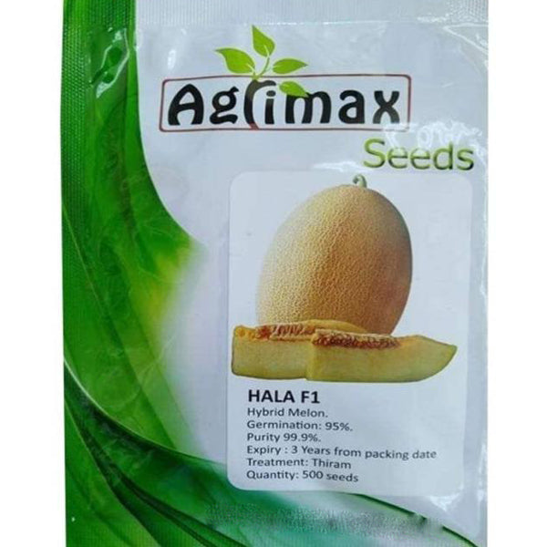 Hala F1 Hybrid Melon Premium Quality Seeds - www.Greenie.ae Buy online Best and Healthy Plants and quality products guarantee in Dubai Plants Shop in Dubai Abu Dhabi all over UAE Plants near me Fresh Plants in Dubai where to buy plants in UAE - Greenie.ae