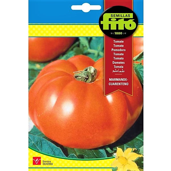 Tomato Marmande Cuarenteno Seeds - www.Greenie.ae Buy online Best and Healthy Plants and quality products guarantee in Dubai Plants Shop in Dubai Abu Dhabi all over UAE Plants near me Fresh Plants in Dubai where to buy plants in UAE - Greenie.ae