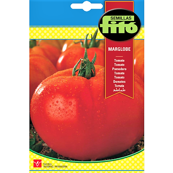 Tomato Marglobe Seeds - www.Greenie.ae Buy online Best and Healthy Plants and quality products guarantee in Dubai Plants Shop in Dubai Abu Dhabi all over UAE Plants near me Fresh Plants in Dubai where to buy plants in UAE - Greenie.ae