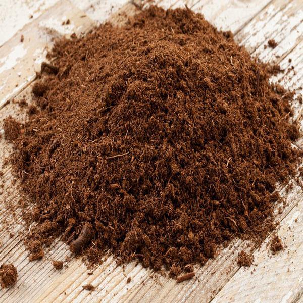 Organic Peat Moss based potting soil Substrate - www.Greenie.ae Buy online Best and Healthy Plants and quality products guarantee in Dubai Plants Shop in Dubai Abu Dhabi all over UAE Plants near me Fresh Plants in Dubai where to buy plants in UAE - Greenie.ae