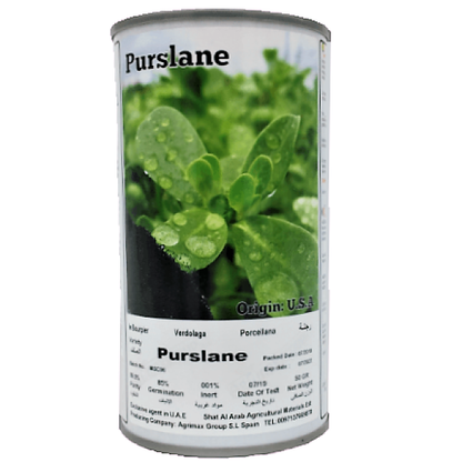 Purslane Seeds Tin - www.Greenie.ae Buy online Best and Healthy Plants and quality products guarantee in Dubai Plants Shop in Dubai Abu Dhabi all over UAE Plants near me Fresh Plants in Dubai where to buy plants in UAE - Greenie.ae