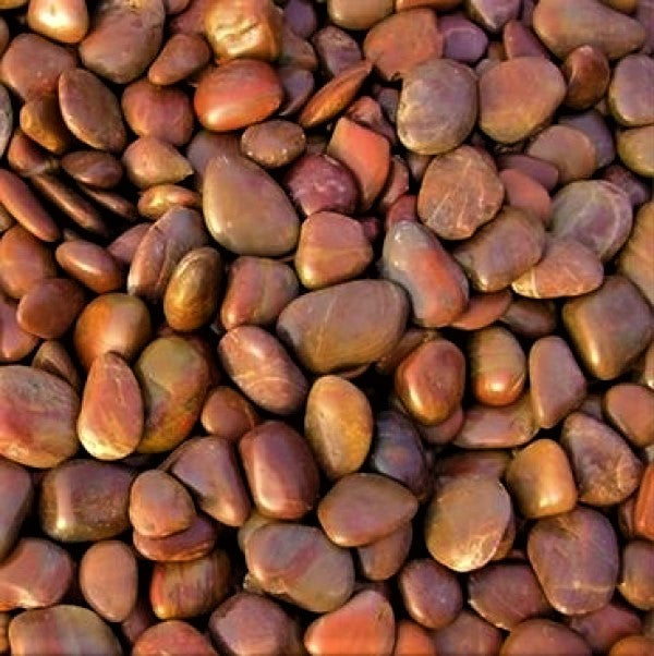 Pebbles Brown / Red 3-5cm - www.Greenie.ae Buy online Best and Healthy Plants and quality products guarantee in Dubai Plants Shop in Dubai Abu Dhabi all over UAE Plants near me Fresh Plants in Dubai where to buy plants in UAE - Greenie.ae