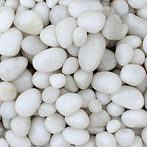 Snow white pebbles 20KG - www.Greenie.ae Buy online Best and Healthy Plants and quality products guarantee in Dubai Plants Shop in Dubai Abu Dhabi all over UAE Plants near me Fresh Plants in Dubai where to buy plants in UAE - Greenie.ae