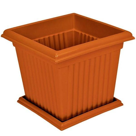 Cosmoplast Square Planter - www.Greenie.ae Buy online Best and Healthy Plants and quality products guarantee in Dubai Plants Shop in Dubai Abu Dhabi all over UAE Plants near me Fresh Plants in Dubai where to buy plants in UAE - Greenie.ae