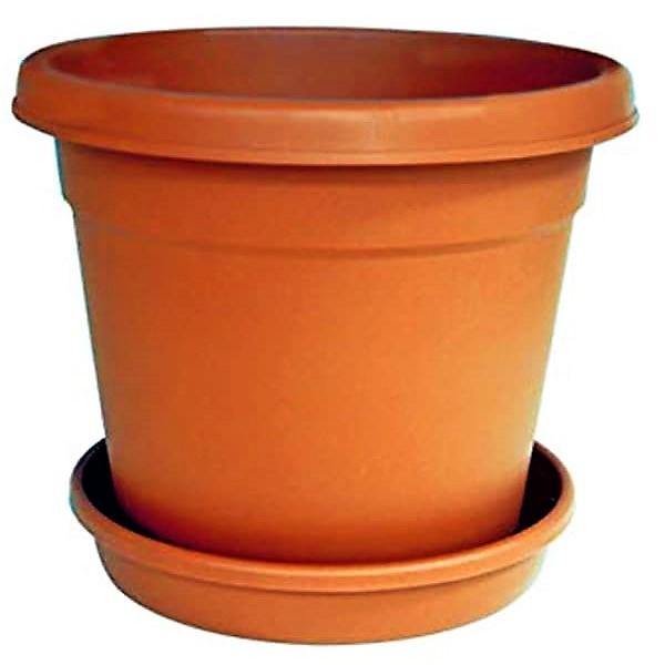 Cosmoplast Round Pot - www.Greenie.ae Buy online Best and Healthy Plants and quality products guarantee in Dubai Plants Shop in Dubai Abu Dhabi all over UAE Plants near me Fresh Plants in Dubai where to buy plants in UAE - Greenie.ae