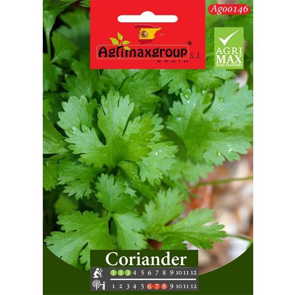 Coriander Seeds - www.Greenie.ae Buy online Best and Healthy Plants and quality products guarantee in Dubai Plants Shop in Dubai Abu Dhabi all over UAE Plants near me Fresh Plants in Dubai where to buy plants in UAE - Greenie.ae