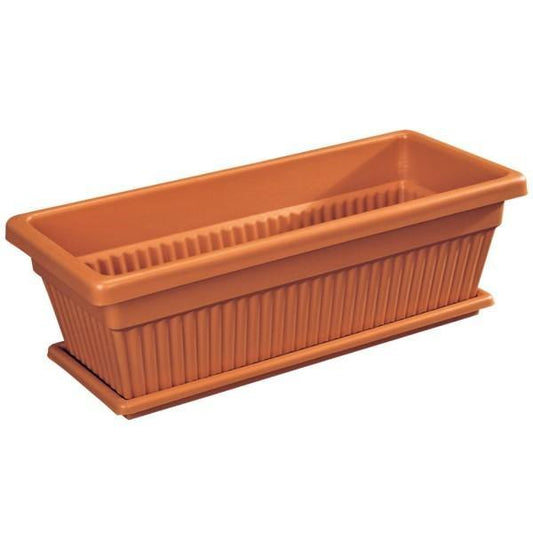 Cosmoplast Rectangular Planter - www.Greenie.ae Buy online Best and Healthy Plants and quality products guarantee in Dubai Plants Shop in Dubai Abu Dhabi all over UAE Plants near me Fresh Plants in Dubai where to buy plants in UAE - Greenie.ae