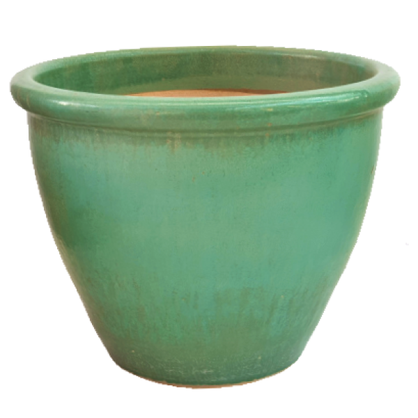 Ceramic Rolled Rim Pot - www.Greenie.ae Buy online Best and Healthy Plants and quality products guarantee in Dubai Plants Shop in Dubai Abu Dhabi all over UAE Plants near me Fresh Plants in Dubai where to buy plants in UAE - Greenie.ae