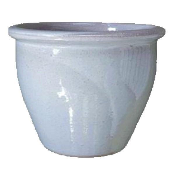 Ceramic Rolled Rim Pot - www.Greenie.ae Buy online Best and Healthy Plants and quality products guarantee in Dubai Plants Shop in Dubai Abu Dhabi all over UAE Plants near me Fresh Plants in Dubai where to buy plants in UAE - Greenie.ae