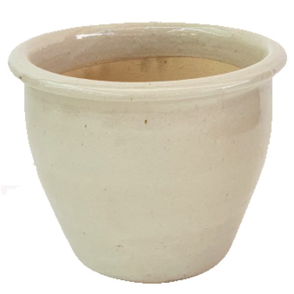 Ceramic Rolled Rim Pot - www.Greenie.ae Buy online Best and Healthy Plants and quality products guarantee in Dubai Plants Shop in Dubai Abu Dhabi all over UAE Plants near me Fresh Plants in Dubai where to buy plants in UAE - Greenie.ae