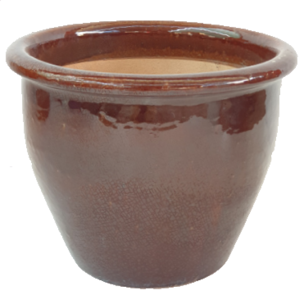 Ceramic Rolled Rim Pot - www.Greenie.ae Buy online Best and Healthy Plants and quality products guarantee in Dubai Plants Shop in Dubai Abu Dhabi all over UAE Plants near me Fresh Plants in Dubai where to buy plants in UAE - Greenie.ae