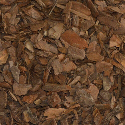 Pine Bark Mulch Per KG - www.Greenie.ae Buy online Best and Healthy Plants and quality products guarantee in Dubai Plants Shop in Dubai Abu Dhabi all over UAE Plants near me Fresh Plants in Dubai where to buy plants in UAE - Greenie.ae