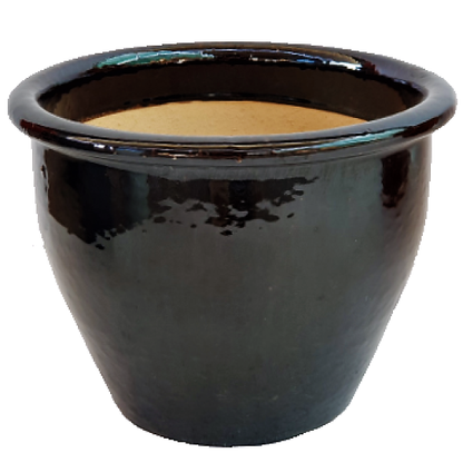 Ceramic Rolled Rim Pot - www.Greenie.ae Buy online Best and Healthy Plants and quality products guarantee in Dubai Plants Shop in Dubai Abu Dhabi all over UAE Plants near me Fresh Plants in Dubai where to buy plants in UAE - Greenie.ae