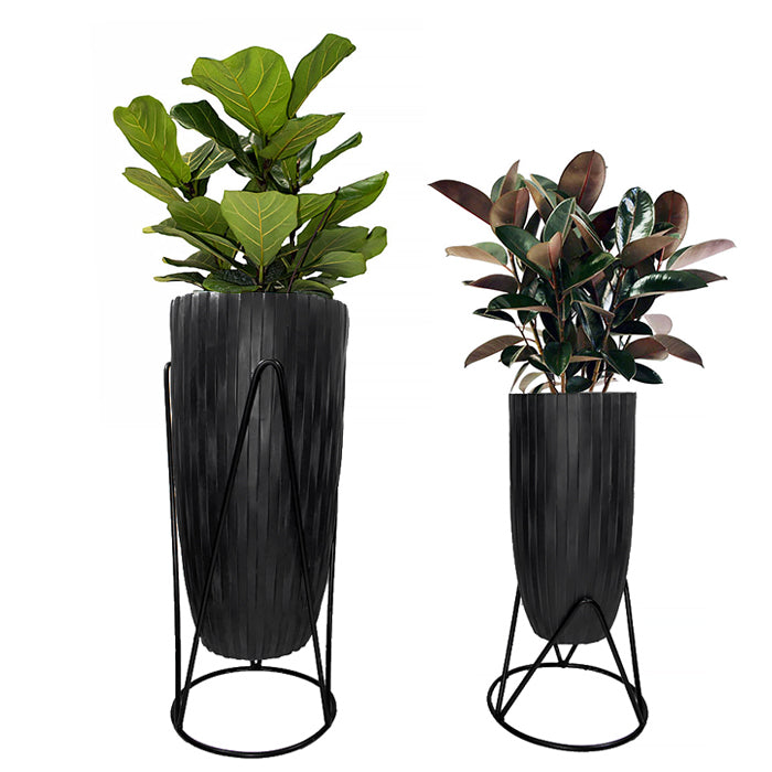 Stand SP A - www.Greenie.ae Buy online Best and Healthy Plants and quality products guarantee in Dubai Plants Shop in Dubai Abu Dhabi all over UAE Plants near me Fresh Plants in Dubai where to buy plants in UAE - Greenie.ae