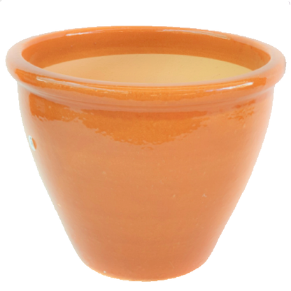 Ceramic Rolled Rim Pot - www.Greenie.ae Buy online Best and Healthy Plants and quality products guarantee in Dubai Plants Shop in Dubai Abu Dhabi all over UAE Plants near me Fresh Plants in Dubai where to buy plants in UAE - Greenie.ae