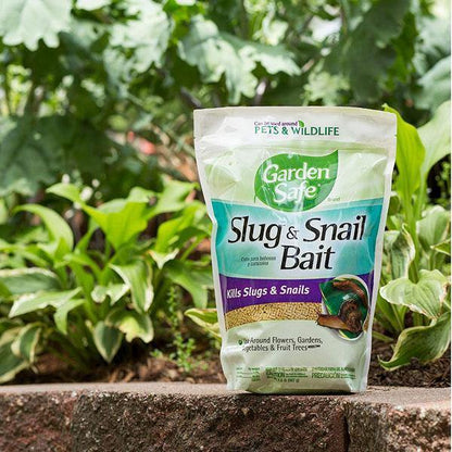 Garden Safe Slug, Snail Bait 2LB - www.Greenie.ae Buy online Best and Healthy Plants and quality products guarantee in Dubai Plants Shop in Dubai Abu Dhabi all over UAE Plants near me Fresh Plants in Dubai where to buy plants in UAE - Greenie.ae