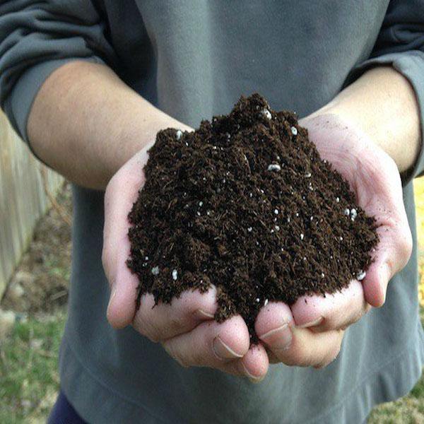 GARDENER’S Planting Mix Potting Soil - www.Greenie.ae Buy online Best and Healthy Plants and quality products guarantee in Dubai Plants Shop in Dubai Abu Dhabi all over UAE Plants near me Fresh Plants in Dubai where to buy plants in UAE - Greenie.ae