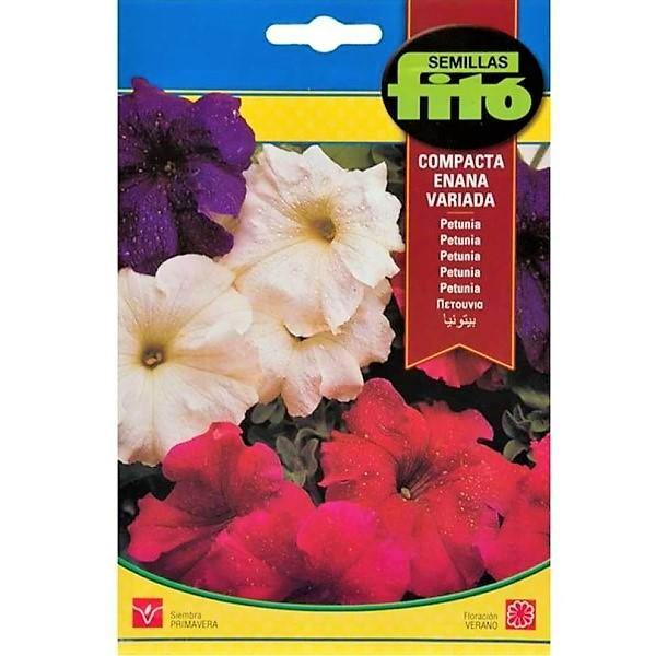 Dwarf Petunia Compact Mix Flower Seeds - www.Greenie.ae Buy online Best and Healthy Plants and quality products guarantee in Dubai Plants Shop in Dubai Abu Dhabi all over UAE Plants near me Fresh Plants in Dubai where to buy plants in UAE - Greenie.ae