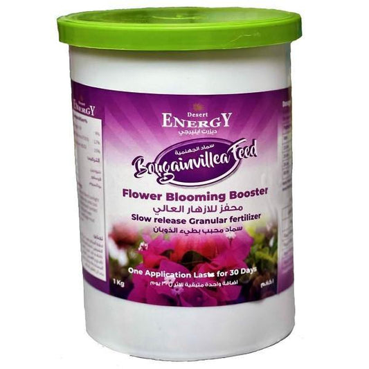 Bougainvillea Feed – Fertilizer - www.Greenie.ae Buy online Best and Healthy Plants and quality products guarantee in Dubai Plants Shop in Dubai Abu Dhabi all over UAE Plants near me Fresh Plants in Dubai where to buy plants in UAE - Greenie.ae