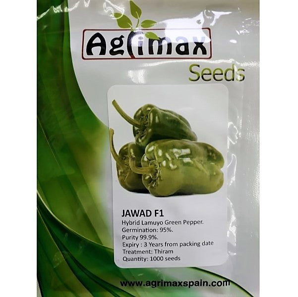 Jawad Lamuyo Green Paper F1 Premium Quality Seeds - www.Greenie.ae Buy online Best and Healthy Plants and quality products guarantee in Dubai Plants Shop in Dubai Abu Dhabi all over UAE Plants near me Fresh Plants in Dubai where to buy plants in UAE - Greenie.ae