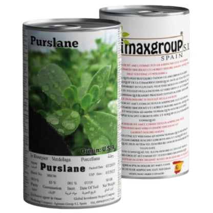 Purslane Seeds Tin - www.Greenie.ae Buy online Best and Healthy Plants and quality products guarantee in Dubai Plants Shop in Dubai Abu Dhabi all over UAE Plants near me Fresh Plants in Dubai where to buy plants in UAE - Greenie.ae